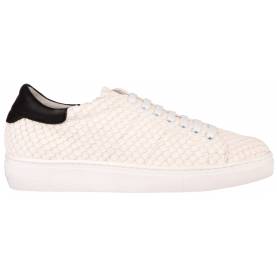 Snake Skin Sneakers