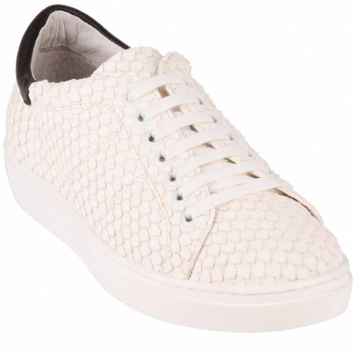 Snake Skin Sneakers