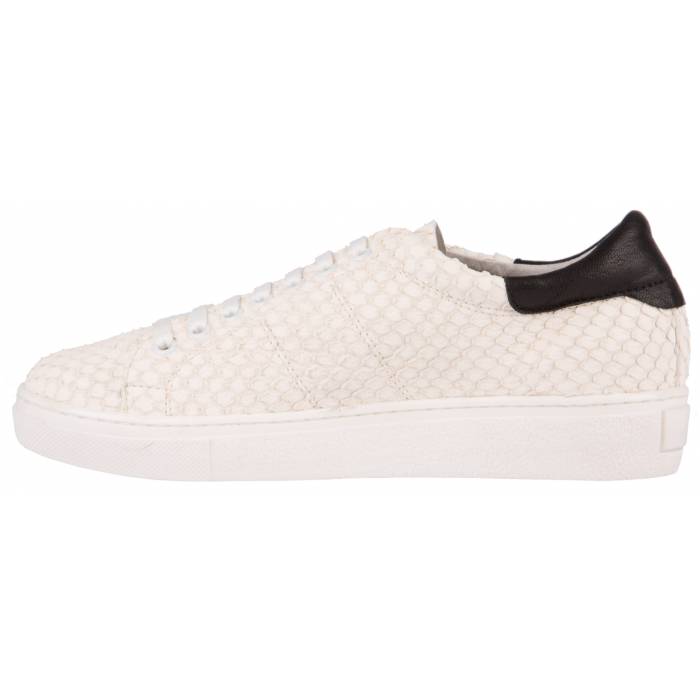 Snake Skin Sneakers