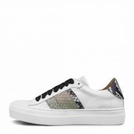Sneakers 1719