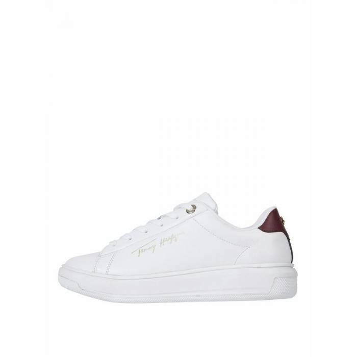 TOMMY FW0FW06733YBR